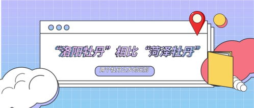 天下彩9944天下彩网|准确资料解释落实_定时款.3.924