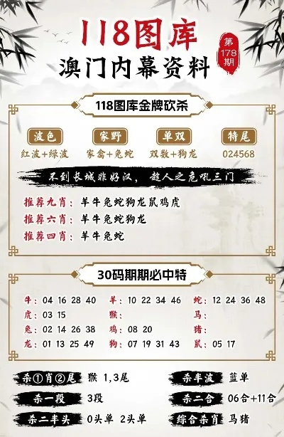 2024澳门精准正版图库|实地研究解释落实_修改型.8.881