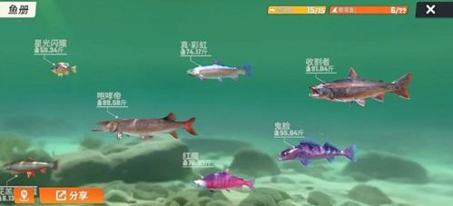 欢乐钓鱼大师安卓版下载最新版-欢乐钓鱼大师安卓版微信小程序（暂未上线）v.2.86